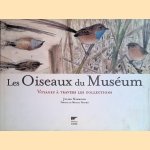 Les oiseaux du Muséum: Voyages à travers les collections door Julien Norwood e.a.