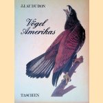 John James Audubon: Vögel Amerikas door Josef H. Reichholf