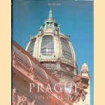 Prague: fin de siècle door Petr Wittlich