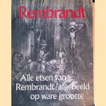 Rembrandt: alle etsen van Rembrandt afgebeeld op ware grootte
Gary Schwartz
€ 12,50