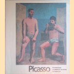 Picasso: oeuvres reçues en paiement des droits de succession door Michel - and others Leiris