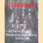 All the etchings of Rembrandt, reproduced in true size door Alje Olthof