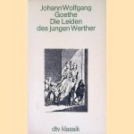 Die Leiden des jungen Werther door Johann Wolfgang Goethe