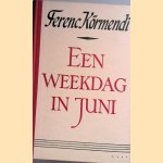 Een weekdag in juni door Ferenc Körmendi