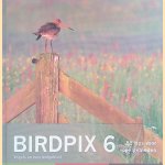 Birdpix 6: 88 tips voor vogelgebieden door Daan Schoonhoven