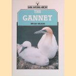 The Gannet door Bryan Nelson