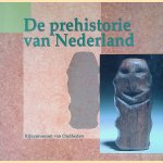 De Prehistorie van Nederland door Leo Verhart