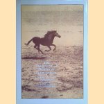 The Treatment of Horses by Acupuncture door Erwin Westermayer