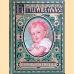 Little wide-awake: a story book for little children door Mrs. Sale Barker