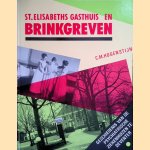 Sint Elisabethsgasthuis en Brinkgreven: geschiedenis van de psychiatrische ziekenhuizen in Deventer door Clemens Maria Hogenstijn