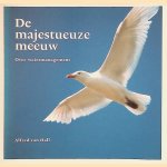 De Majestueuze meeuw: over watermanagement
Alfred van Hall
€ 10,00