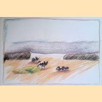 Landschap
Rudi van Dantzig e.a.
€ 12,50