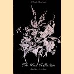 The lace collection door M. Risselin-Steenebrugen