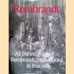 Rembrandt: All the Etchings of Rembrandt reproduced in true size door Alje Olthof