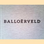 Balloërveld *GESIGNEERD*
Marianne W/ Duinkerken
€ 100,00