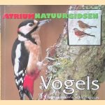 Atrium natuurgidsen: vogels door Mike Lambert e.a.