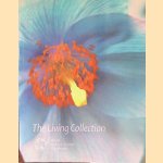 The Living Collection door David Rae