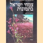 Pictorial Flora of Israel (Hebrew edition) door Uzi Plitmann e.a.