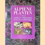 Alpiene planten: geheel geïllustreerde encyclopedie door Clive Innes