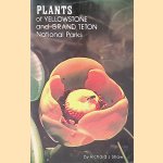 Plants of Yellowstone and Grand  Teton National Parks door Richard J. Shaw