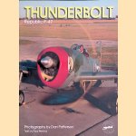 Thunderbolt: Republic P47 door Paul Perkins