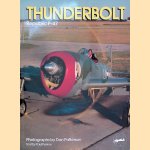 Thunderbolt: Republic P47 door Paul Perkins