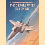 F-15 C Eagle Units In Combat door Steve Davies