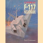 F-117 Nighthawk door Paul Crickmore