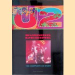 U2: Burning Desire : The Complete U2 Story door Sam Goodman