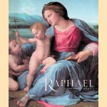 Raphael: From Urbino to Rome door Carol Plazzotta