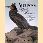 Audubons Birds of America: The Royal Octavo Edition door John James Audubon