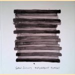 Sean Scully: Different Places door Kelly Grovier