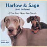 Harlow & Sage (and Indiana): A True Story About Best Friends
Brittni Vega
€ 8,00