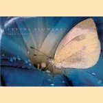 Flying Flowers: The Beauty Of The Butterfly door Rick Sammon