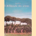 A l'ecoute des arbres
Anne Hauben
€ 10,00