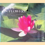 Focus on Flowers: Discovering and Photographing Beauty in Gardens and Wild Places door Allen Rokach e.a.