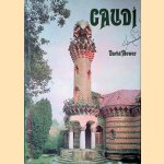 Gaudi door David Mower