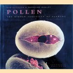 Pollen: The Hidden Sexuality of Flowers door Rob Kessler