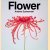Andrew Zuckerman: Flower door Andrew Zuckerman