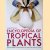 Encyclopedia of Tropical Plants: Identification and Cultivation of Over 3000 Tropical Plants
Ahmed Fayaz
€ 150,00