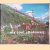 My Cool Allotment: An Inspirational Guide to Stylish Allotments and Community Gardens door Lia Leendertz e.a.