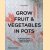 Grow Fruit Vegetables in Pots: Planting Advice Recipes from Great Dixter door Aaron Bertelsen