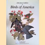 Birds of America: The complete collection of 435 illustrations from the most famous bird book in the world
John James Audubon
€ 45,00