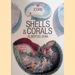 Shells and Corals = Muscheln & Korallen = Coquillages & Coraux = Moluscos & Corales door Albertus Seba