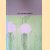 Cy Twombly: The Natural World: Selected Works 2000-2007 door James Rondeau