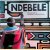 Ndebele: the Art of an African Tribe door Margaret Courtney-Clarke