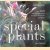 Special Plants: Over 500 outstanding plants for the enthusiastic gardener door Jane Taylor