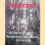 Rembrandt: All the Etchings of Rembrandt reproduced in true size door Alje Olthof