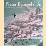 Pieter Bruegel d. Ä im Kunsthistorischen Museum Wien door Wilfried Seipel