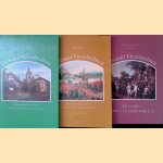 Gerauer Geschichten: Historie und Histörchen aus dem Leben einer kleinen Stadt  (3 volumes) door Franz Flach